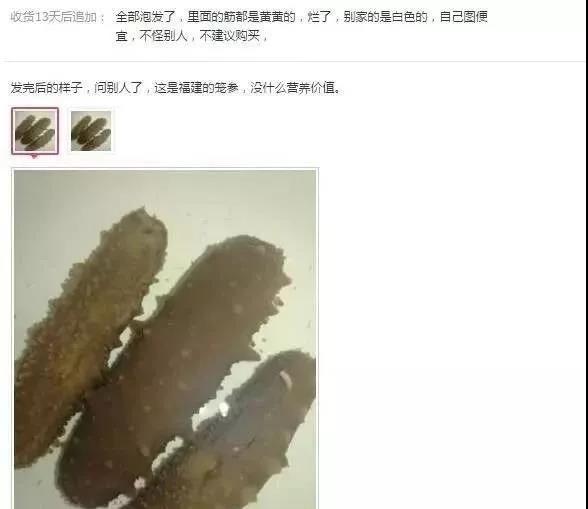 为什么网上卖的海参这么便宜 (为什么网上卖的即食海参那么便宜)