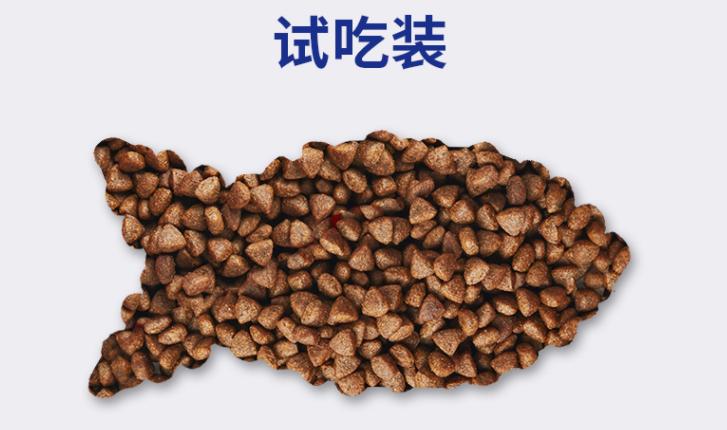 养猫入门猫粮推荐哪种,新手养猫攻略6款高品质猫粮推荐