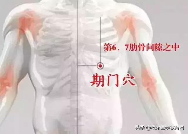 健康管理师需要哪些技巧,健康管理师基础知识100条