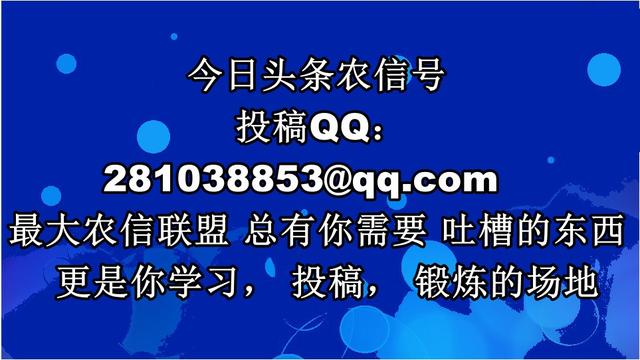 银行网点逐渐消失应该如何转型,今年关停的银行网点有哪些