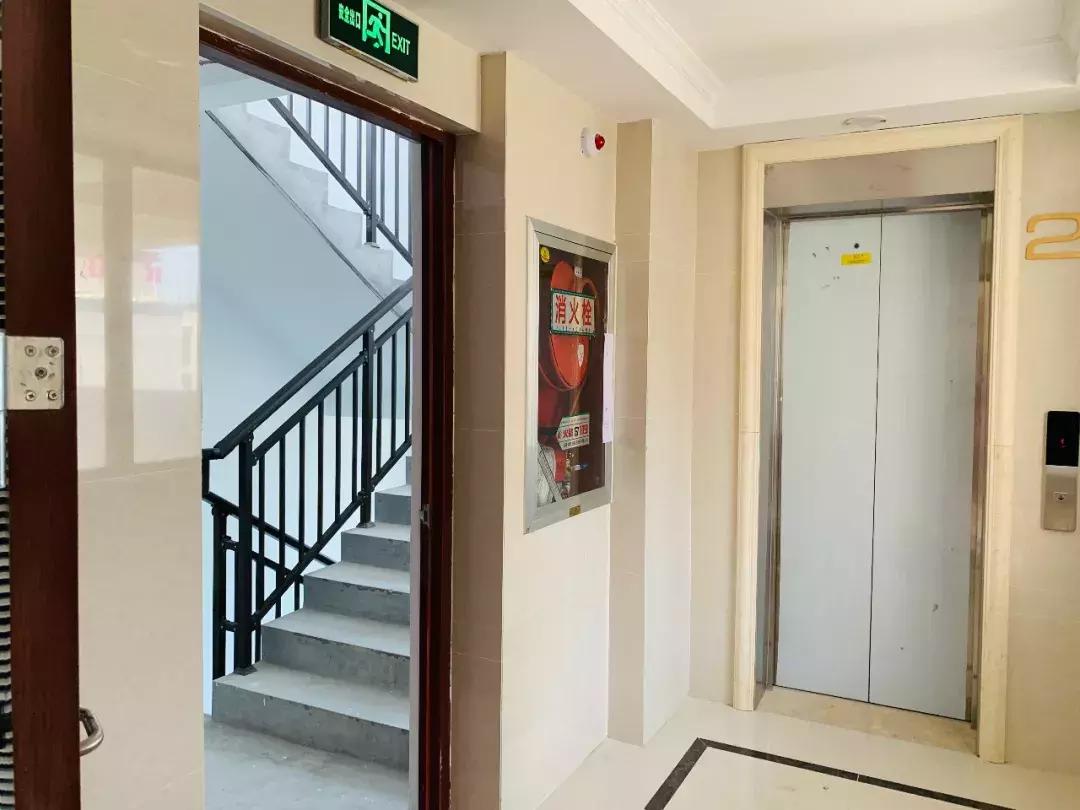 三人成虎感受到了什么,三人成虎口碑