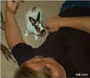 如何看待为了保护动物而吃素,素食拯救了我的生命