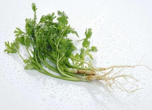 生活小妙招治疗发热、烧心