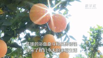 湘江永远记得——习*平近**总书记到过的红色圣地之广西篇