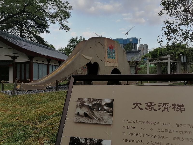 兴庆公园，你依旧是那个环境清幽、颜值在线的美丽园林