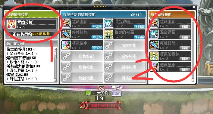 冒险岛主教link技能,冒险岛角色卡和link什么意思