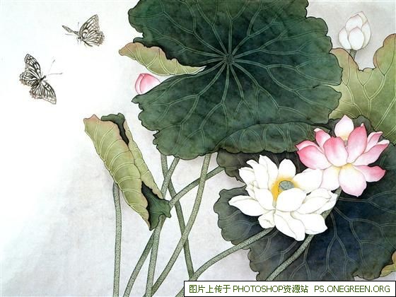 北纬66度家具,北纬66度官网