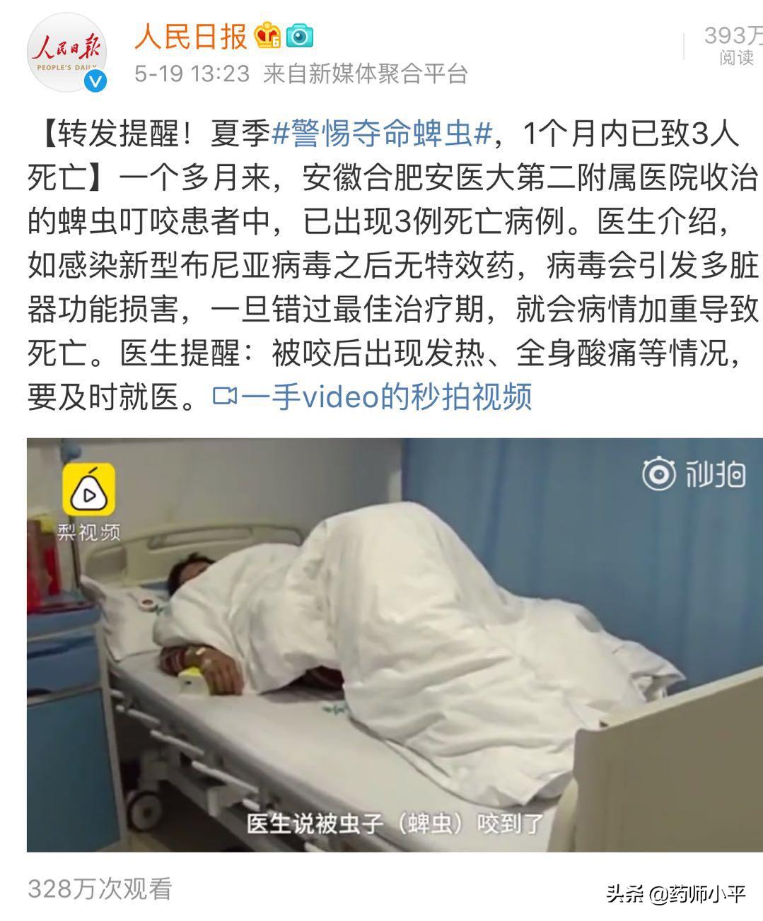 夏季要关注预防以下六种蚊虫,夏季治蚊虫的小妙招