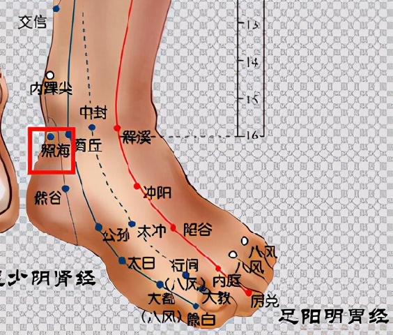 中医讲一看书就犯困怎么回事,中医讲述中午12点犯困怎么回事