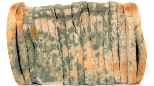 过期的面包怎么处理不会浪费,吃不完的面包保存的正确方法