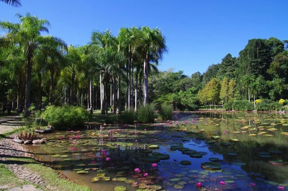 收好这份云南最新5a景区名单,云南的5a级景区有哪些