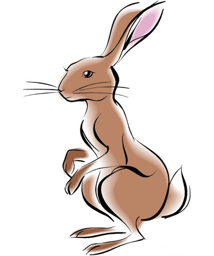 十二生肖哪个月份出生的人命最好,十二生肖几月出生最好最有福气