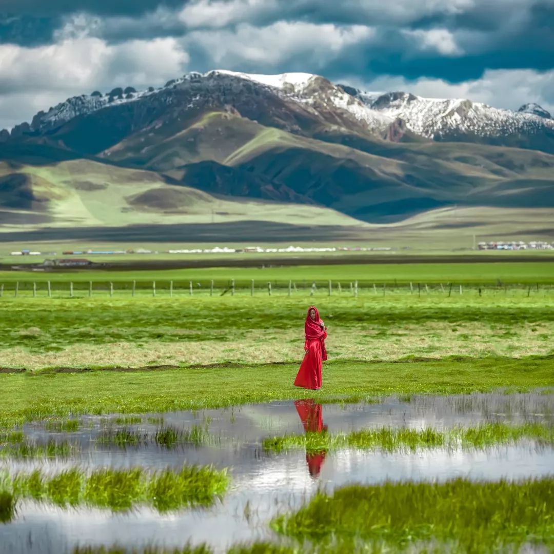 川西若尔盖草原，7月迎来颜值巅峰，温度不到20℃！避暑走起