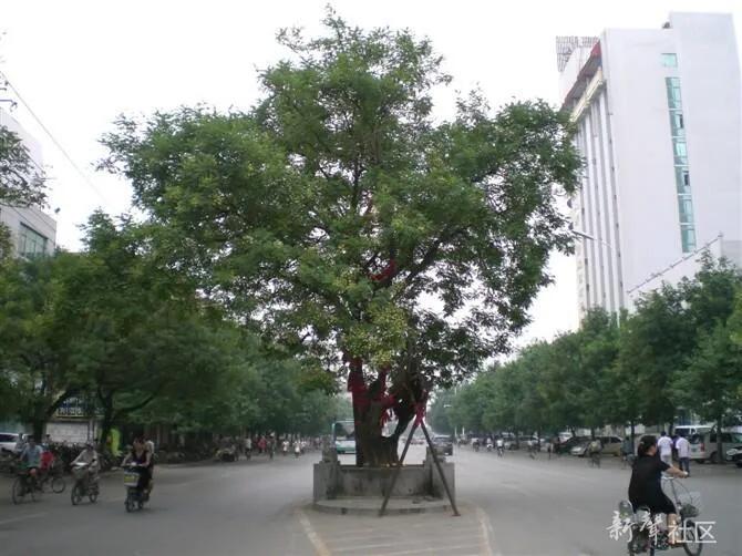 老济宁谚语,济宁老方言视频