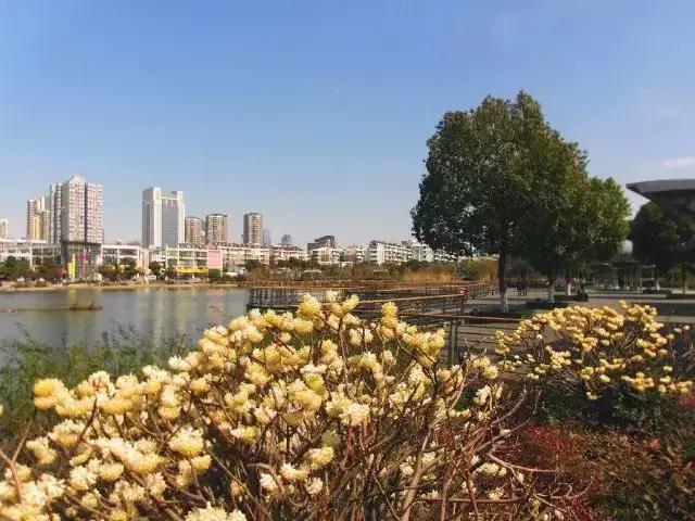 被误解的大秦帝国,被误解的河西