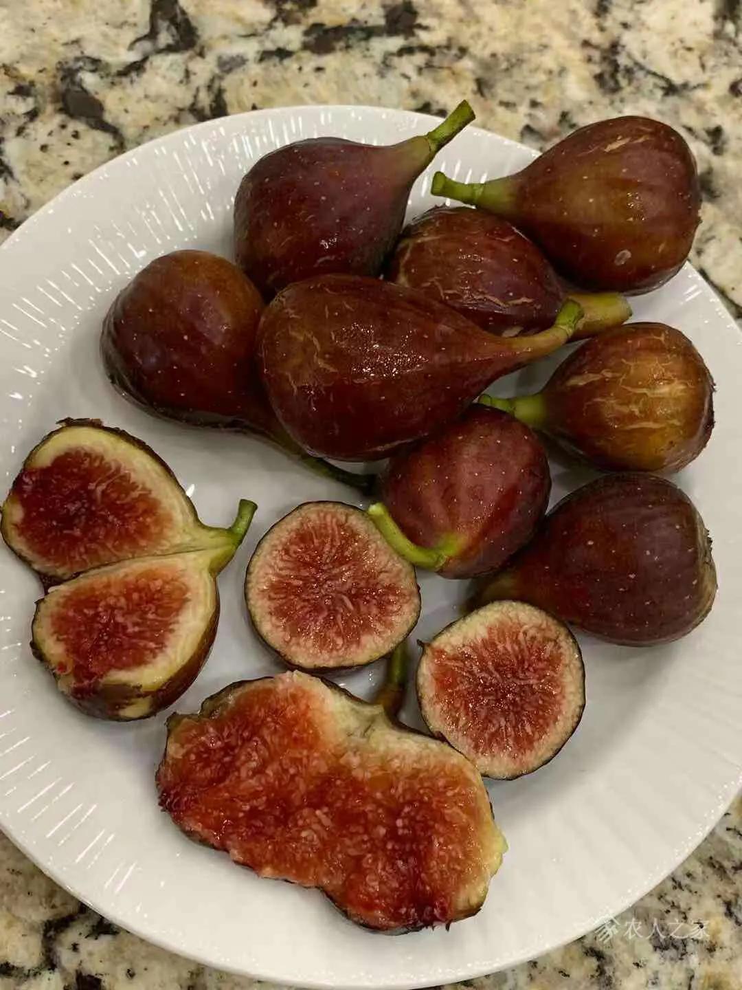 口感最好的无花果图片,颜值很高的无花果
