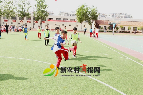 平度市小学运动会跨栏,平度胜利路小学运动会