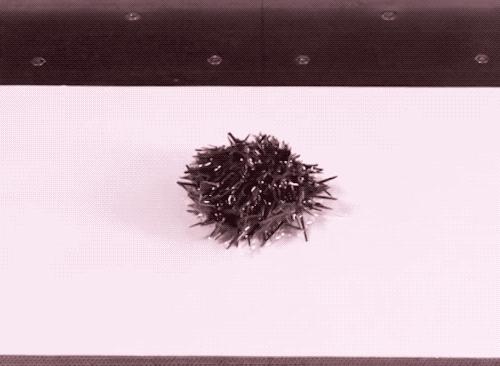 抽真空包装的牛肉,超市卖的真空包装的肉类有哪些