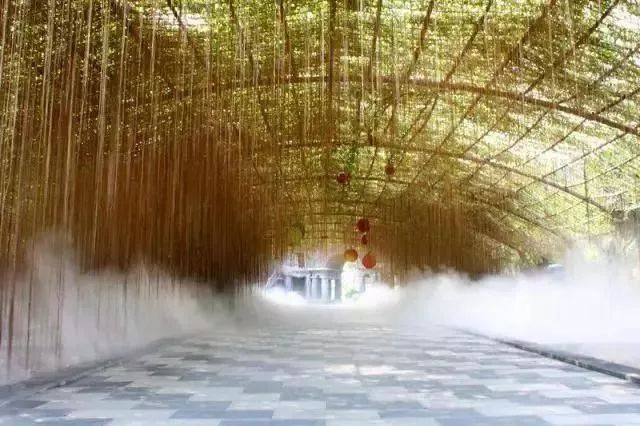 森波拉温泉度假村两天一夜游,倒数跨年狂欢夜