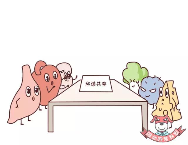 出远门失眠,出门出差便秘吃什么药才有效