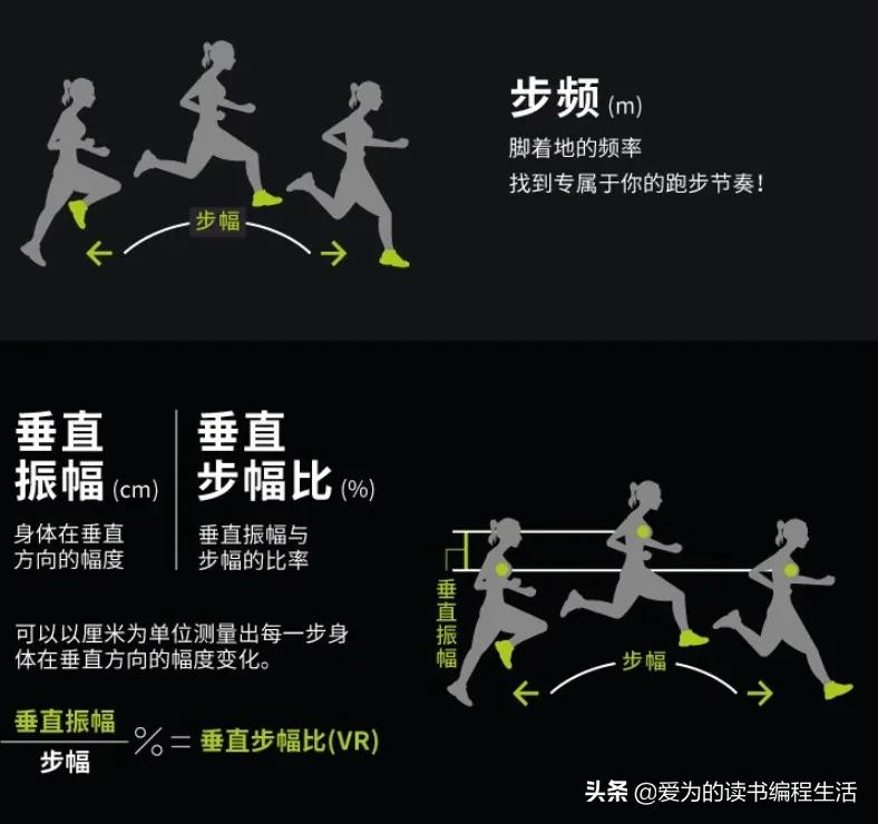 心率带有哪些推荐 (心率带哪个性价比好)