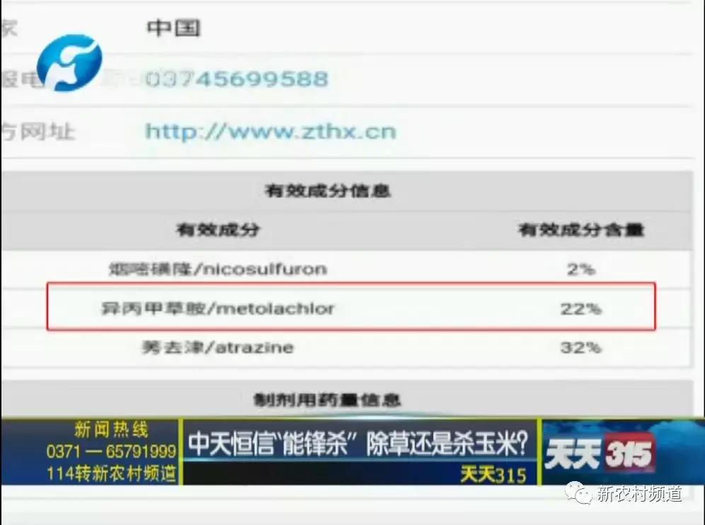 玉米除草剂药害玉米减产吗,玉米受药害减产吗