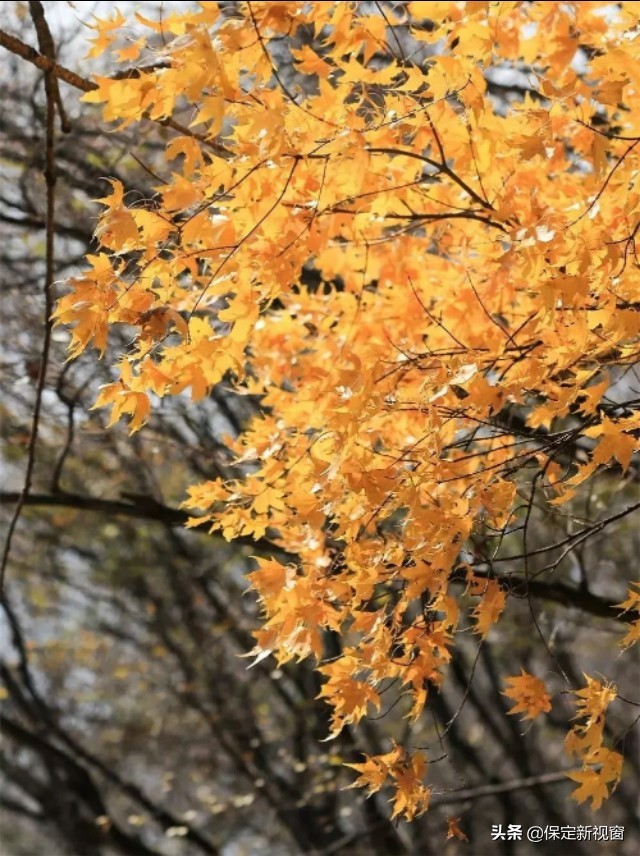易县最美的风景线,带上好心情向美丽出发