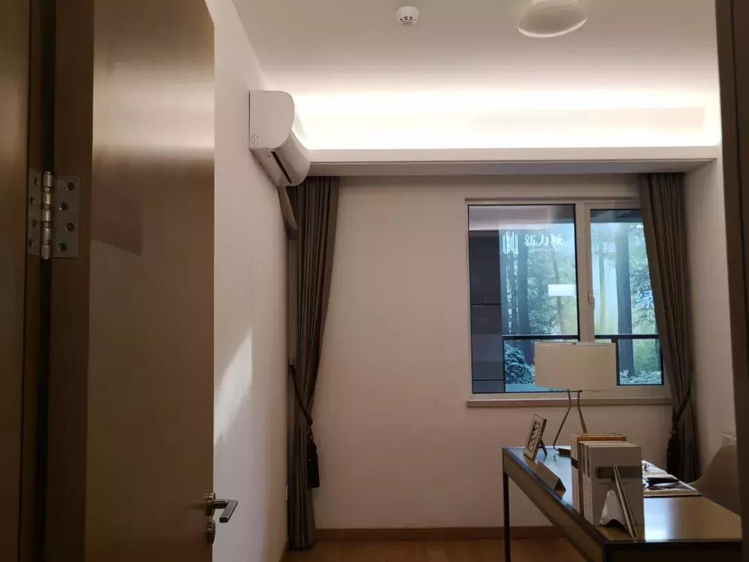 青菱五姐妹现状,白沙洲青菱现状