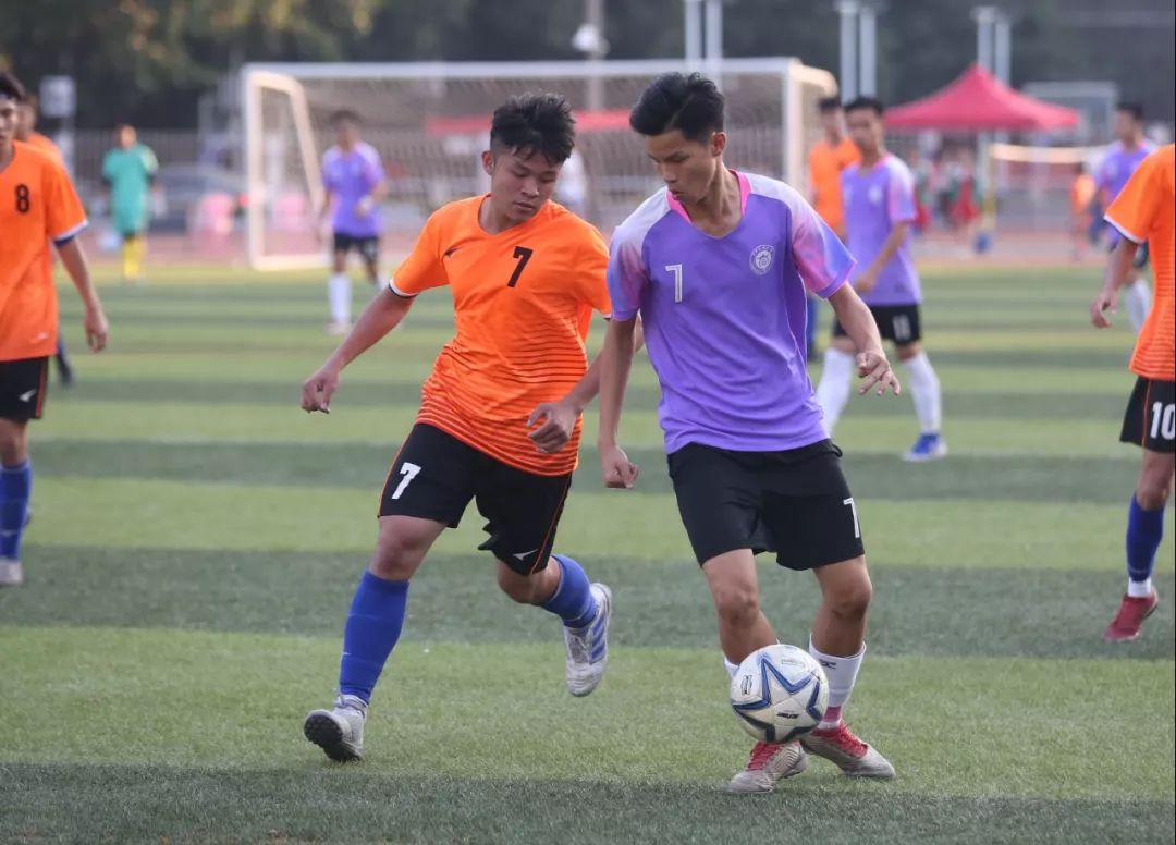 鍏ぇ浣撶郴寤鸿,鍏ぇ浣撶郴鎼厤娉曞垯