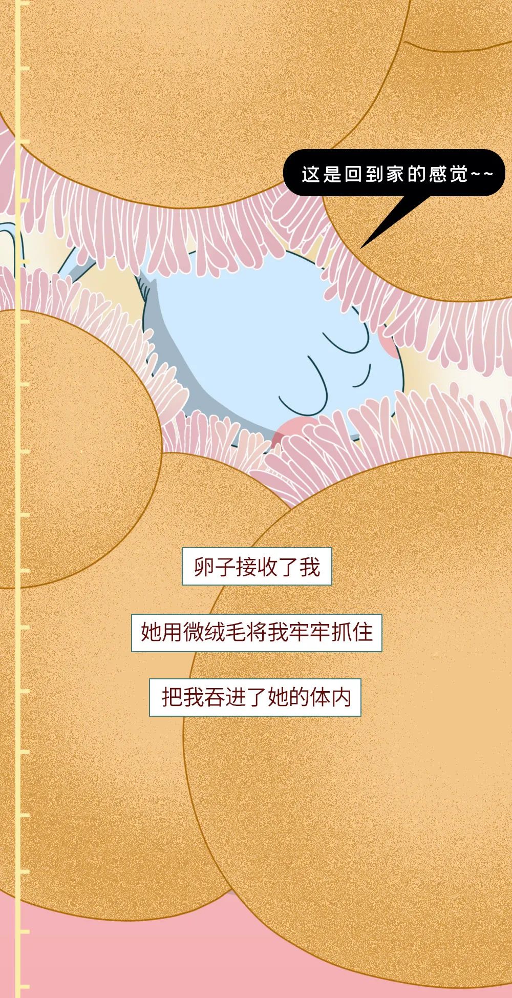 科普知识精子液化后的态势,男性精子在体内存活时间