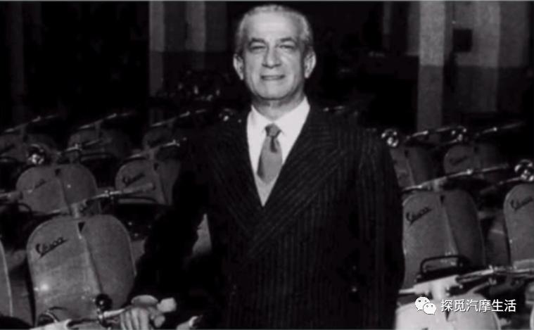 城市森林里的小精灵,森林中迷人的小精灵