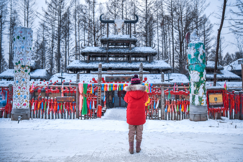 冰雪总动员简介,冰雪总动员