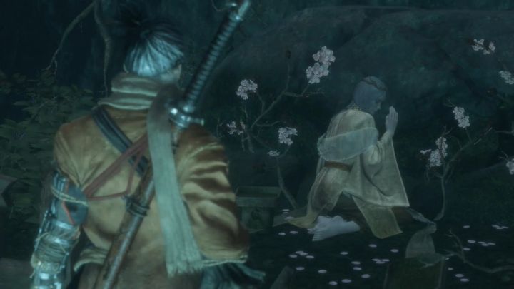 恶魔之魂解析,恶魔之魂的恶魔灵魂介绍