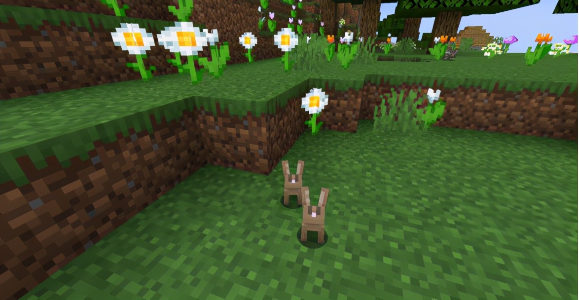 我的世界杀手兔和猫,我的世界杀手兔