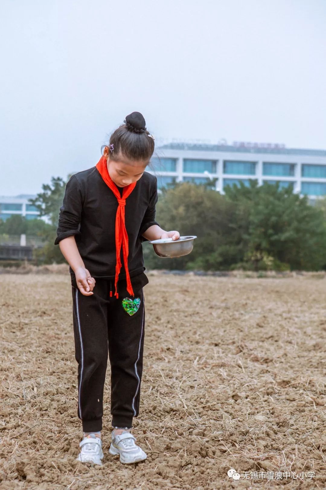 翻地、播种…无锡老小将课堂搬到了田间地头