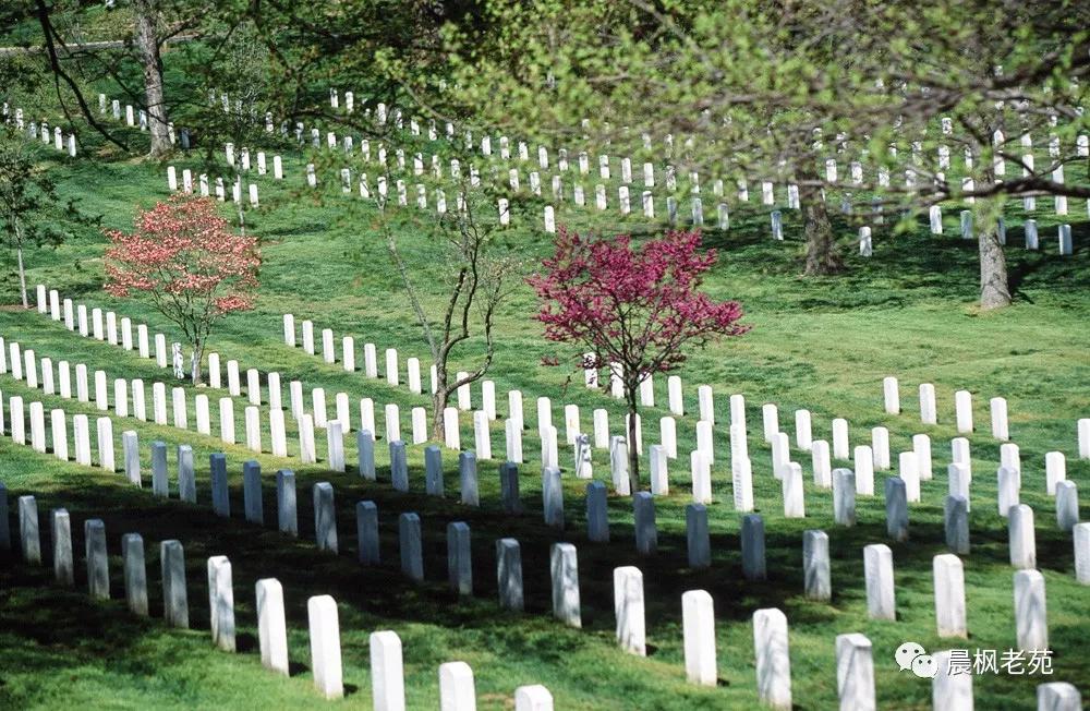 阿灵顿国家公墓站岗,阿灵顿公墓入葬标准
