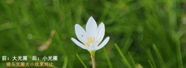 影响画面曝光的主要因素,如何通过曝光补偿控制画面亮度