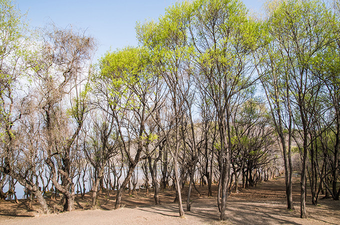 洱海旅游景点攻略,西安洱海旅游攻略必去景点