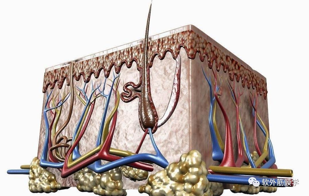 针刺运动疗法和针灸区别,针刺法与灸法的关系