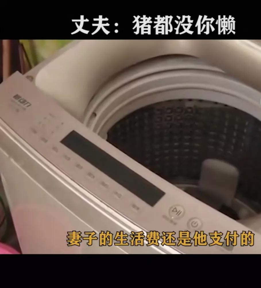 妻子懒惰丈夫崩溃,妻子懒惰睡懒觉