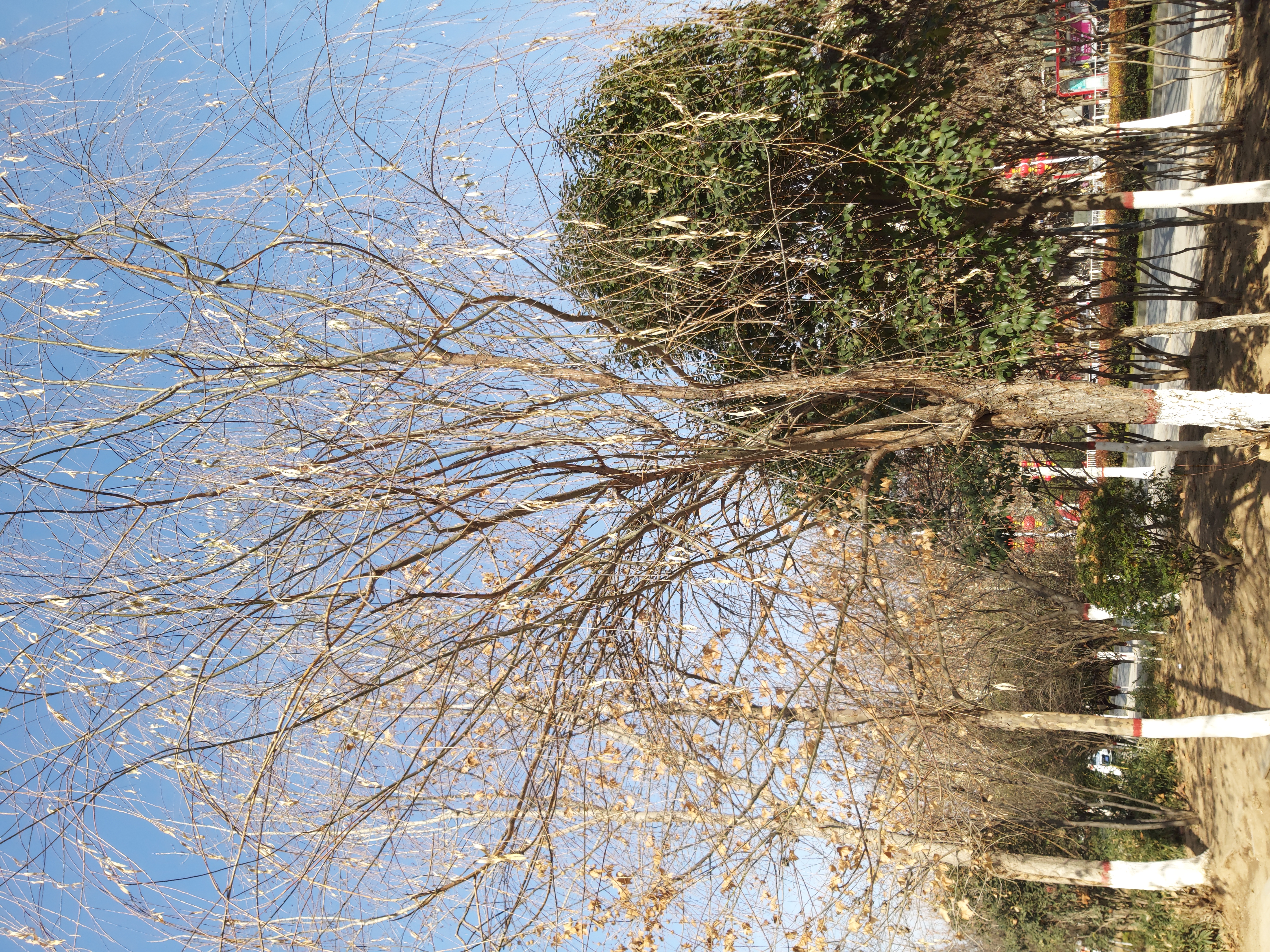 galaxya8s全面评测,三星a8s深度体验