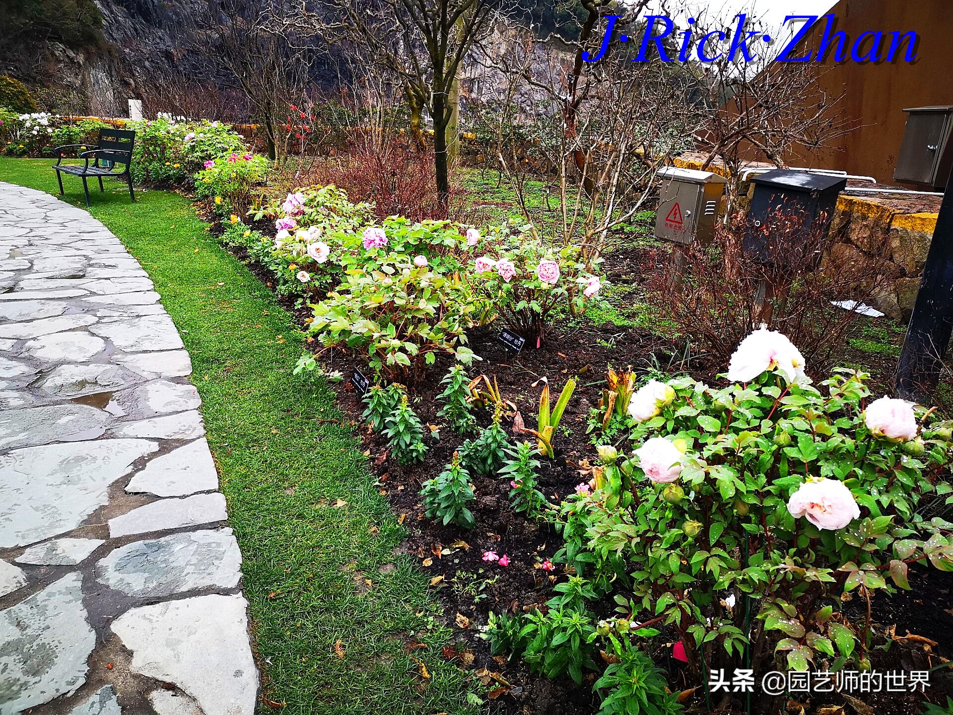 园艺研学报告,园艺园林研学