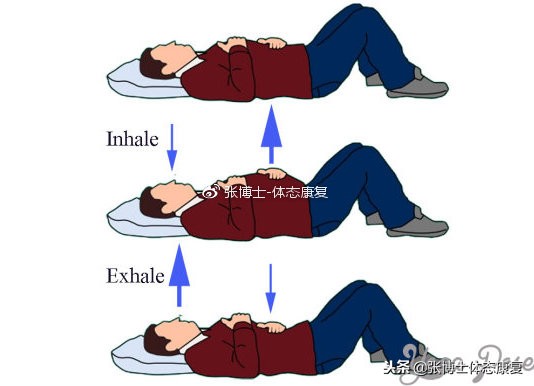 呼吸模式紊乱,呼吸模式紊乱的运动康复