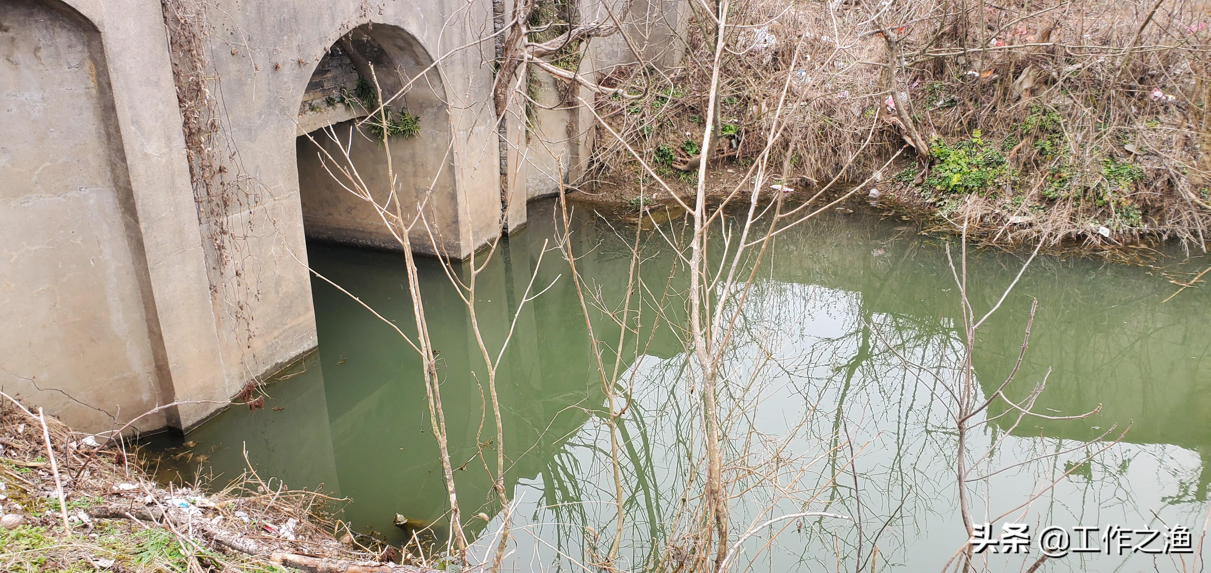 钓鱼双飞怎么上鱼,钓鱼双飞的最佳方法