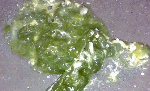 怎么判断鸡呼吸道病情好了,怎么知道鸡子感冒到哪个阶段