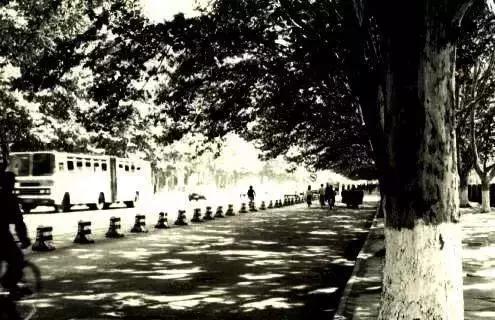 父母那一辈经历过什么,父母的70年代是啥样的