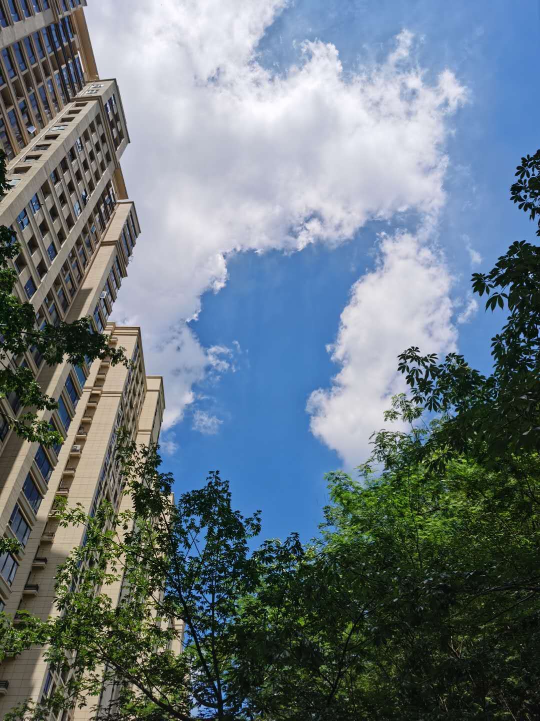 试管移植两次失败后面成功的经历,首次试管移植失败的感悟