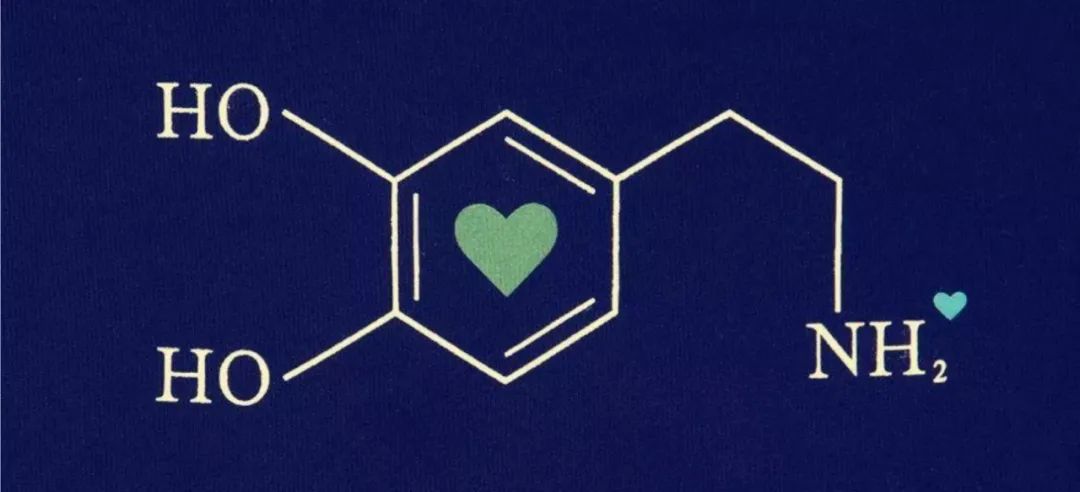 恋爱中的人多巴胺,恋爱中的人智商为零