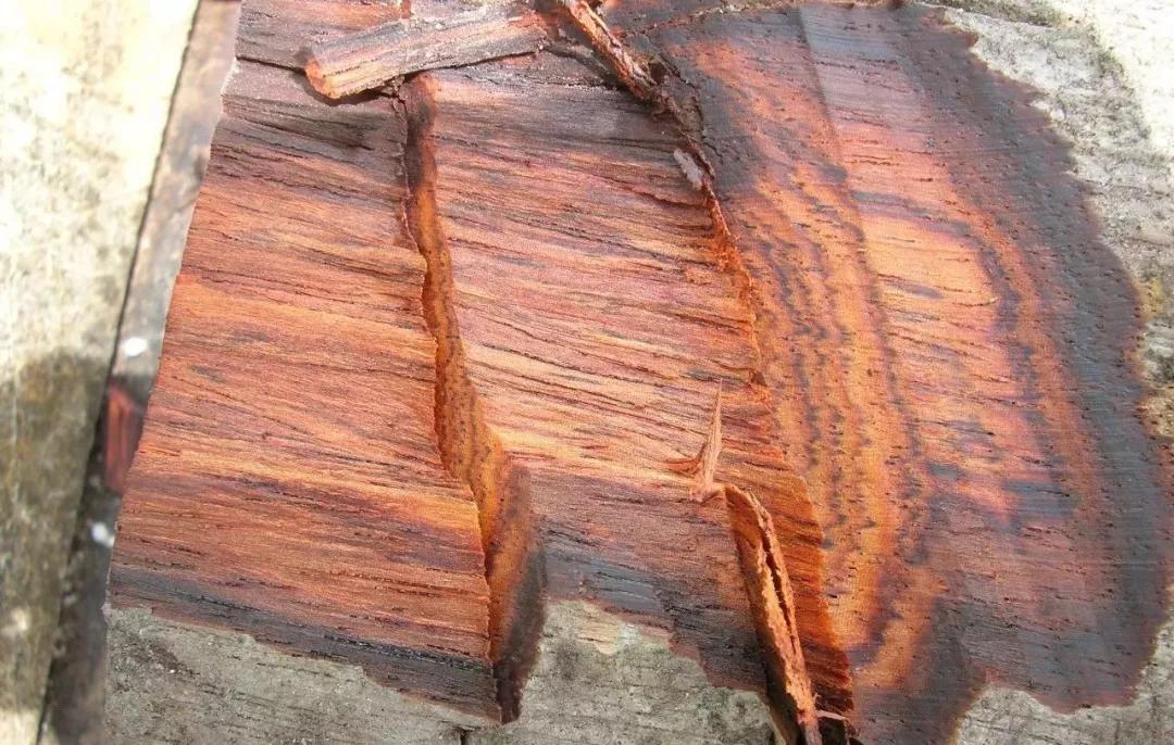 红木国标29种价格图片,国标红木与非标红木的区别