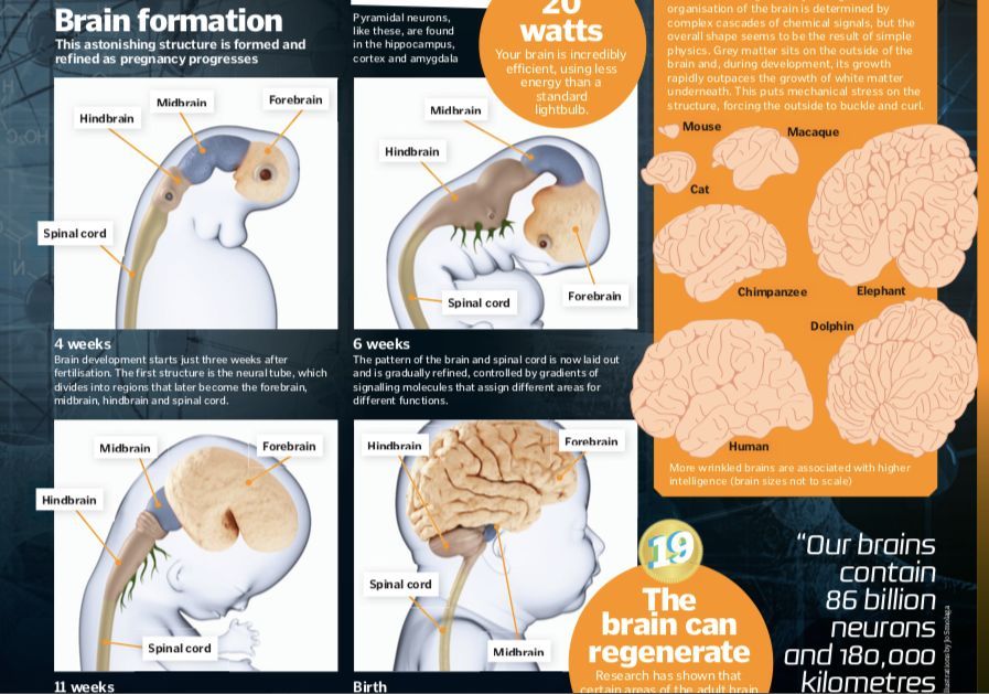 中国科学十大科技进展,中国科技进步有哪些